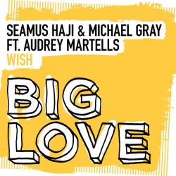 Seamus Haji & Michael Gray Feat. Audrey Martells - Wish
